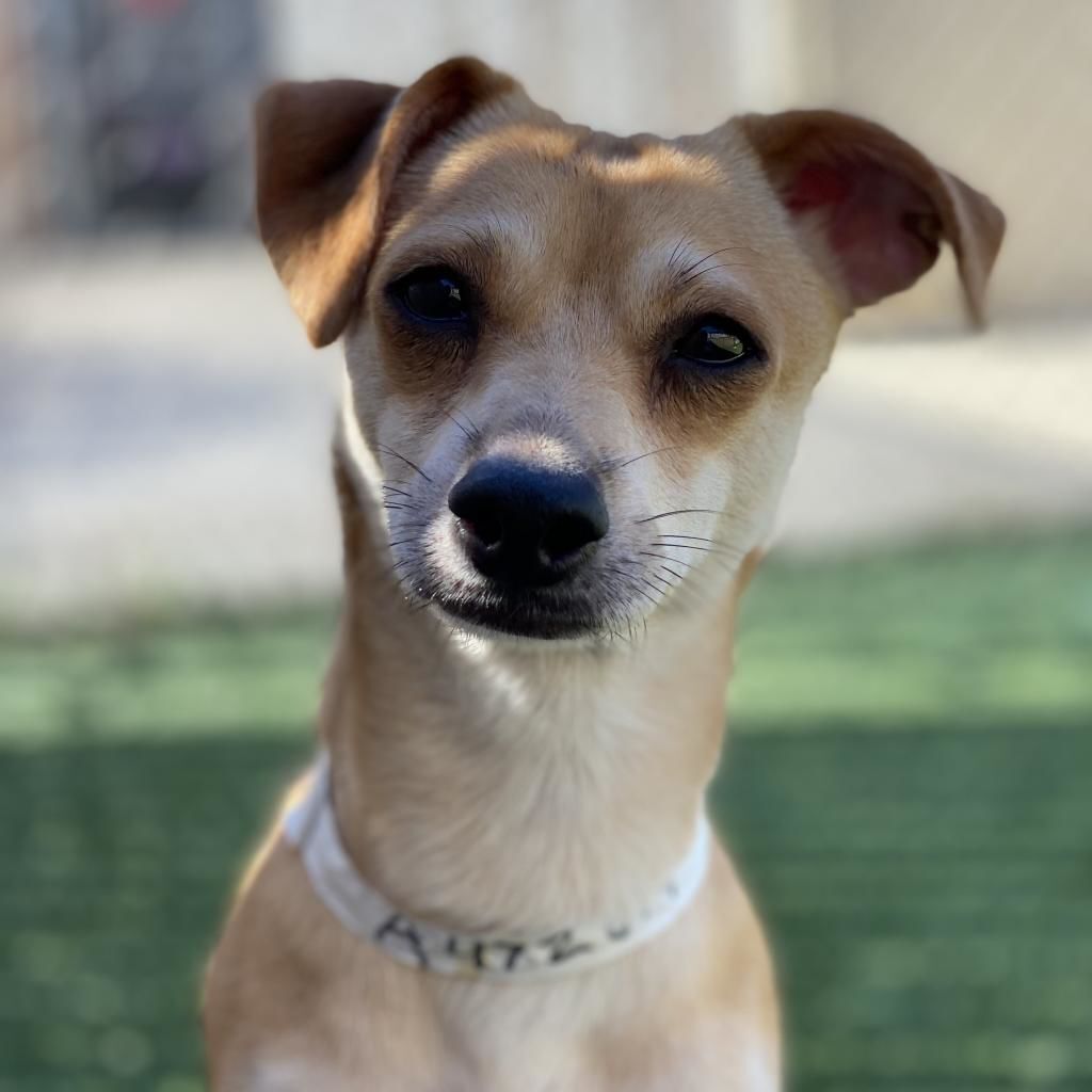 Milo
